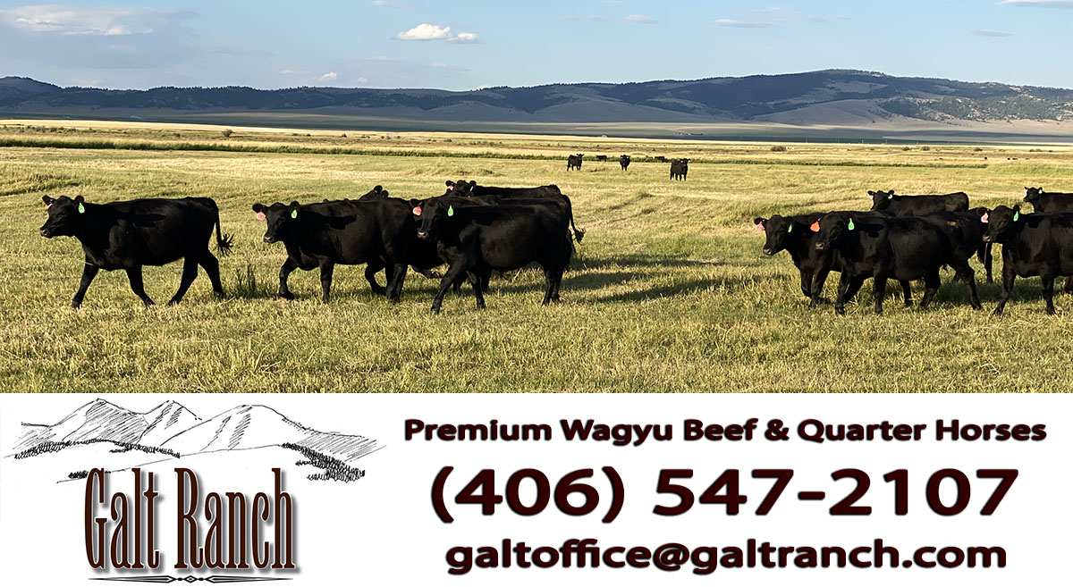 About the Galt Ranch White Sulphur Springs Montana