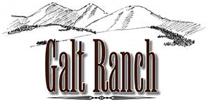 Wagyu Beef Sales Galt Ranch White Sulphur Spring Logo